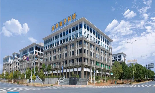 飞瑞为众华电子科技有限公司配备宝星工频UPS电源