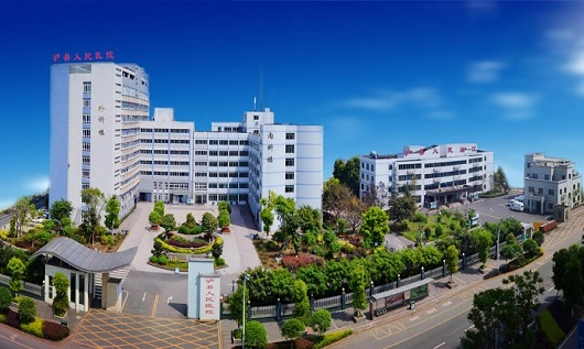 飞瑞为泸县人民医院配备宝星UPS电源