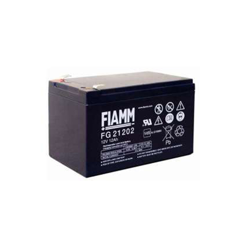 非凡蓄电池FG系列